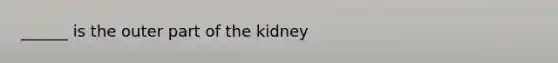 ______ is the outer part of the kidney