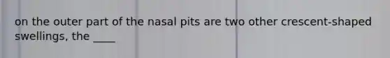 on the outer part of the nasal pits are two other crescent-shaped swellings, the ____