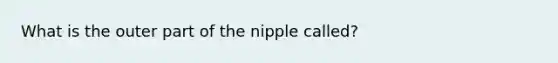 What is the outer part of the nipple called?