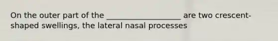 On the outer part of the ___________________ are two crescent-shaped swellings, the lateral nasal processes