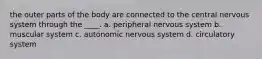 the outer parts of the body are connected to the central nervous system through the ____. a. peripheral nervous system b. muscular system c. autonomic nervous system d. circulatory system