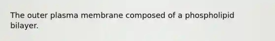 The outer plasma membrane composed of a phospholipid bilayer.