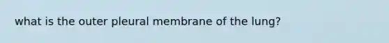 what is the outer pleural membrane of the lung?