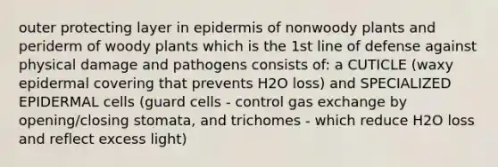 outer protecting layer in epidermis of nonwoody plants and periderm of woody plants which is the 1st line of defense against physical damage and pathogens consists of: a CUTICLE (waxy epidermal covering that prevents H2O loss) and SPECIALIZED EPIDERMAL cells (guard cells - control gas exchange by opening/closing stomata, and trichomes - which reduce H2O loss and reflect excess light)