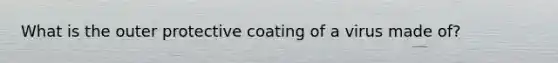 What is the outer protective coating of a virus made of?