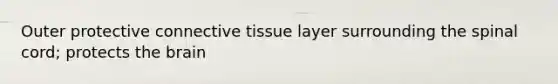 Outer protective connective tissue layer surrounding the spinal cord; protects the brain