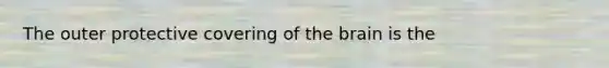 The outer protective covering of the brain is the