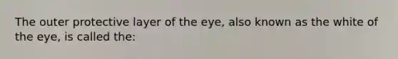 The outer protective layer of the eye, also known as the white of the eye, is called the: