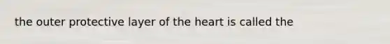 the outer protective layer of <a href='https://www.questionai.com/knowledge/kya8ocqc6o-the-heart' class='anchor-knowledge'>the heart</a> is called the