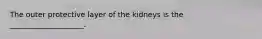 The outer protective layer of the kidneys is the ____________________.