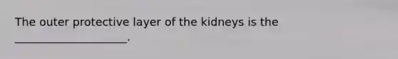 The outer protective layer of the kidneys is the ____________________.