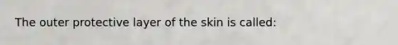 The outer protective layer of the skin is called: