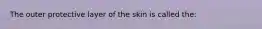 The outer protective layer of the skin is called the: