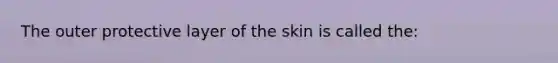 The outer protective layer of the skin is called the: