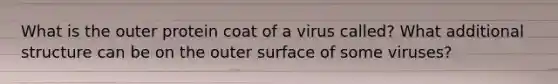 What is the outer protein coat of a virus called? What additional structure can be on the outer surface of some viruses?