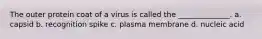 The outer protein coat of a virus is called the ______________. a. capsid b. recognition spike c. plasma membrane d. nucleic acid