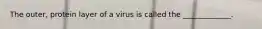 The outer, protein layer of a virus is called the _____________.