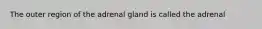 The outer region of the adrenal gland is called the adrenal