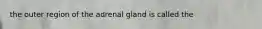 the outer region of the adrenal gland is called the