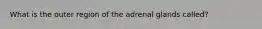What is the outer region of the adrenal glands called?
