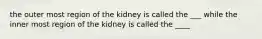 the outer most region of the kidney is called the ___ while the inner most region of the kidney is called the ____