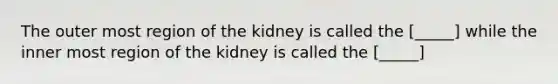 The outer most region of the kidney is called the [_____] while the inner most region of the kidney is called the [_____]