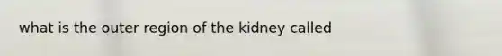 what is the outer region of the kidney called