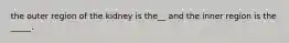 the outer region of the kidney is the__ and the inner region is the _____.