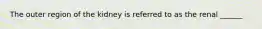 The outer region of the kidney is referred to as the renal ______