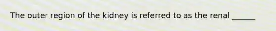 The outer region of the kidney is referred to as the renal ______