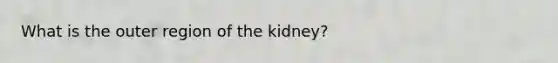 What is the outer region of the kidney?