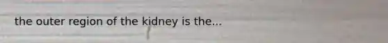 the outer region of the kidney is the...