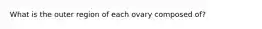 What is the outer region of each ovary composed of?