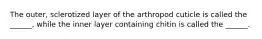 The outer, sclerotized layer of the arthropod cuticle is called the ______, while the inner layer containing chitin is called the ______.