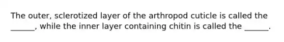 The outer, sclerotized layer of the arthropod cuticle is called the ______, while the inner layer containing chitin is called the ______.