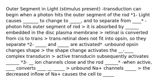 Outer Segment in Light (stimulus present) -transduction can begin when a photon hits the outer segment of the rod *1- Light causes _______ to change to _____, and to separate from ____* -photon hits outer segment of rod > it is absorbed by ______ embedded in the disc plasma membrane > retinal is converted from cis to trans > trans-retinal does not fit into opsin, so they separate *2- _____ and _____ are activated* -unbound opsin changes shape > the shape change activates the __-____ complex transducin > active transducin subsequently activates ______ *3- __ ion channels close and the rod ______* -when active, ____ converts ____ __ _____ > unbound Na+ channels _____ > the decreased inflow of Na+ causes the cell to _____