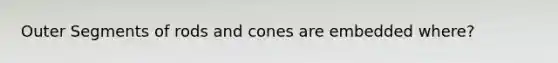 Outer Segments of rods and cones are embedded where?