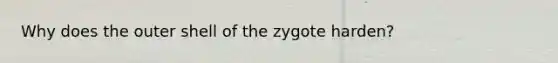 Why does the outer shell of the zygote harden?