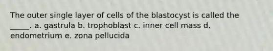 The outer single layer of cells of the blastocyst is called the _____. a. gastrula b. trophoblast c. inner cell mass d. endometrium e. zona pellucida