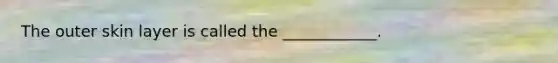 The outer skin layer is called the ____________.