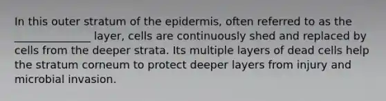 In this outer stratum of the epidermis, often referred to as the ______________ layer, cells are continuously shed and replaced by cells from the deeper strata. Its multiple layers of dead cells help the stratum corneum to protect deeper layers from injury and microbial invasion.