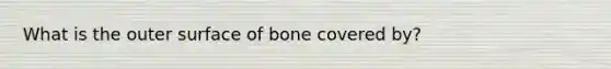 What is the outer surface of bone covered by?