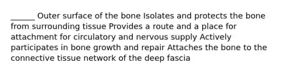 ______ Outer surface of the bone Isolates and protects the bone from surrounding tissue Provides a route and a place for attachment for circulatory and nervous supply Actively participates in bone growth and repair Attaches the bone to the connective tissue network of the deep fascia