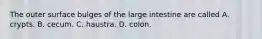 The outer surface bulges of the large intestine are called A. crypts. B. cecum. C. haustra. D. colon.