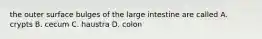 the outer surface bulges of the large intestine are called A. crypts B. cecum C. haustra D. colon