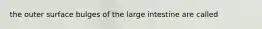 the outer surface bulges of the large intestine are called