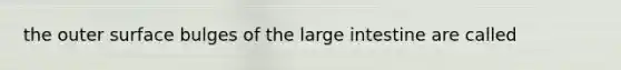 the outer surface bulges of the large intestine are called