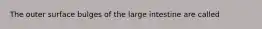 The outer surface bulges of the large intestine are called