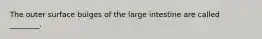 The outer surface bulges of the large intestine are called ________.