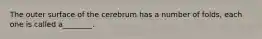 The outer surface of the cerebrum has a number of folds, each one is called a________.
